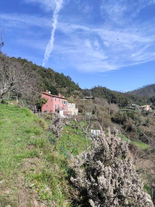 Quiet And Cozy Home With Wi-Fi Casa Prearino ヴェルナッツァ エクステリア 写真